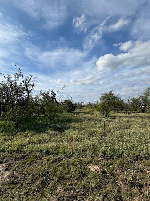 9526 Iron Spoke Trail #13, Carlsbad, Texas image 7