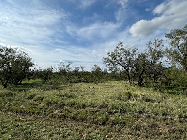 9526 Iron Spoke Trail #13, Carlsbad, Texas image 5