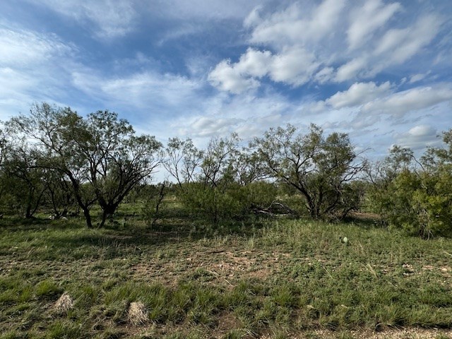 9526 Iron Spoke Trail #13, Carlsbad, Texas image 4