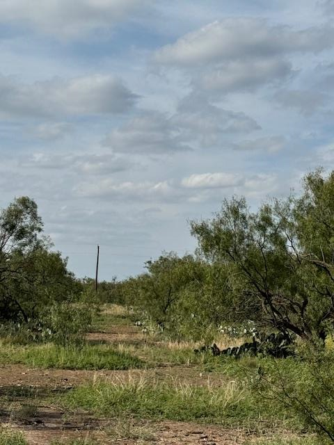 9526 Iron Spoke Trail #13, Carlsbad, Texas image 1