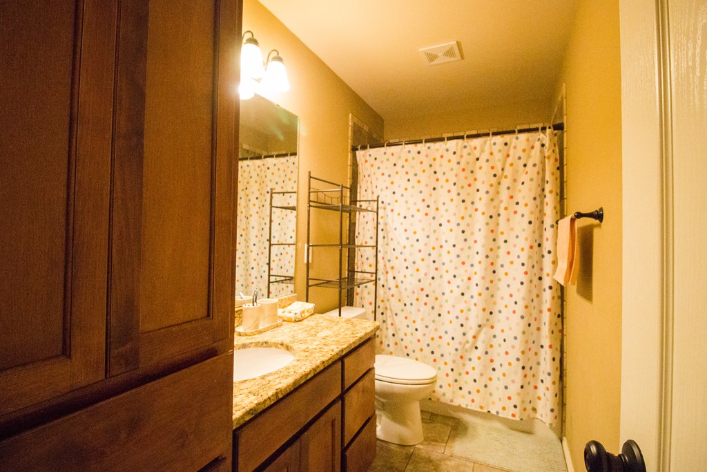 4154 Huntleigh Dr, San Angelo, Texas image 15