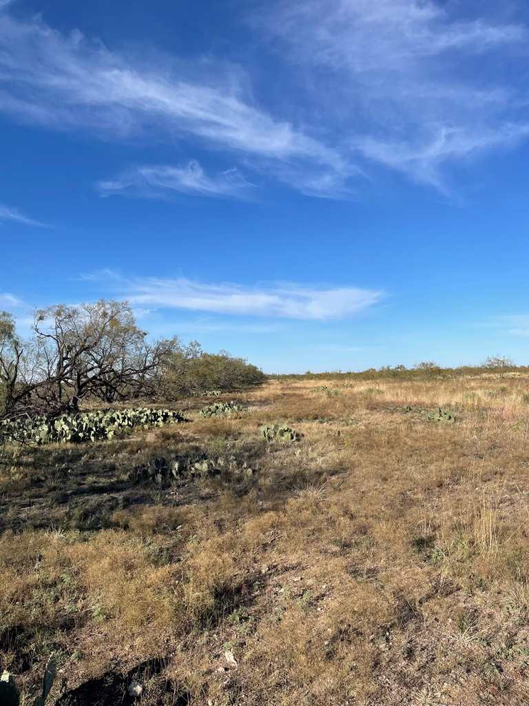 0000 County Rd 1115 #7, Paint Rock, Texas image 8