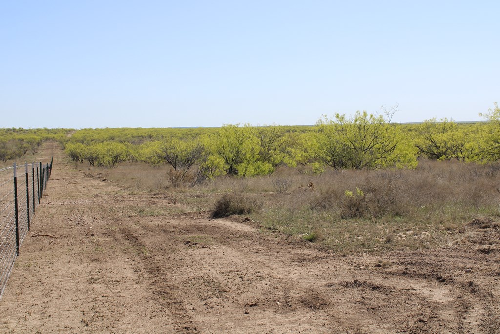 Hwy 67 #AB183, Ballinger, Texas image 8