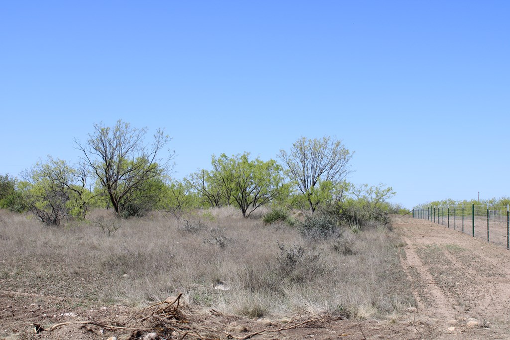 Hwy 67 #AB183, Ballinger, Texas image 6