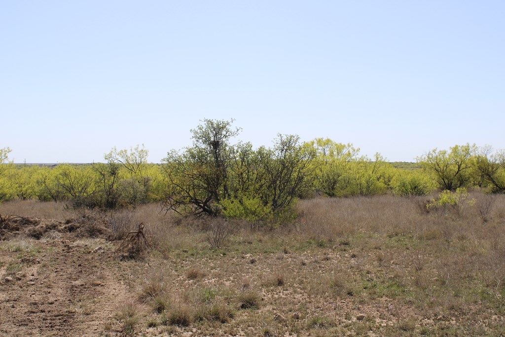 Hwy 67 #AB183, Ballinger, Texas image 7