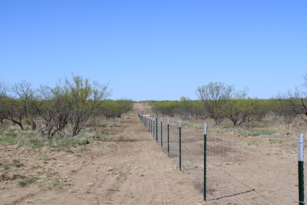 Hwy 67 #AB183, Ballinger, Texas image 25