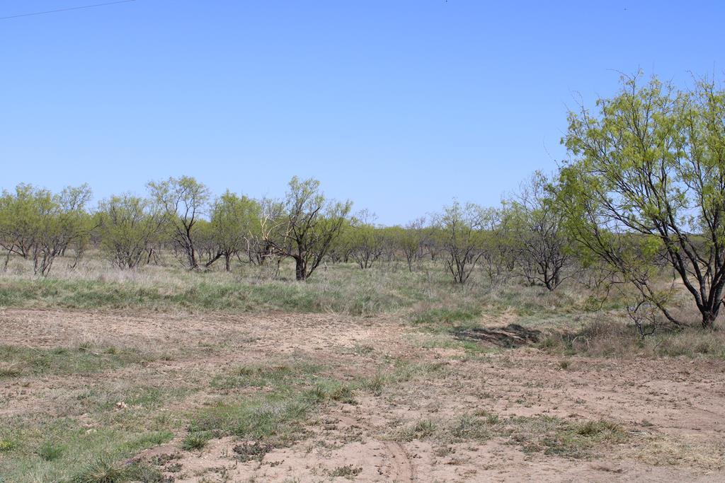Hwy 67 #AB183, Ballinger, Texas image 2