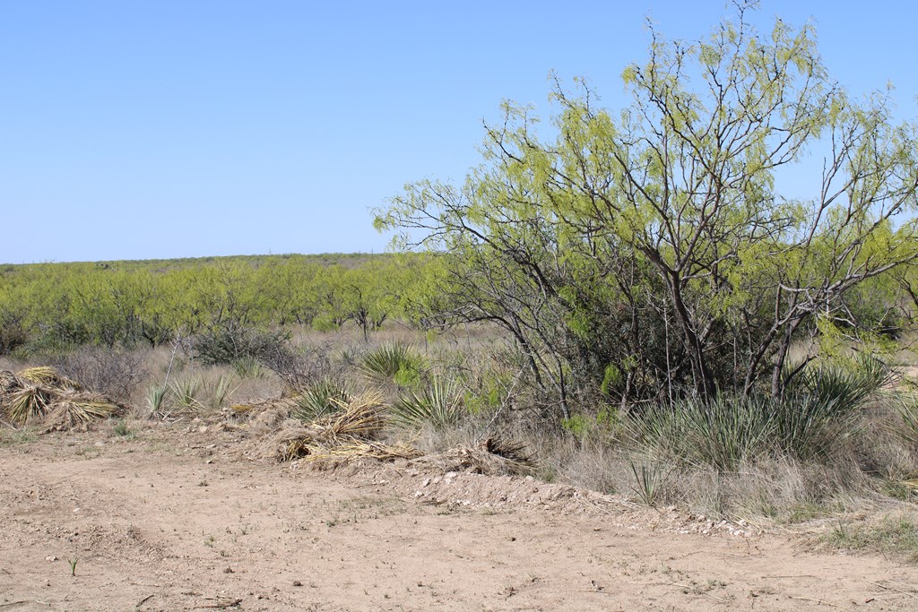 Hwy 67 #AB183, Ballinger, Texas image 22