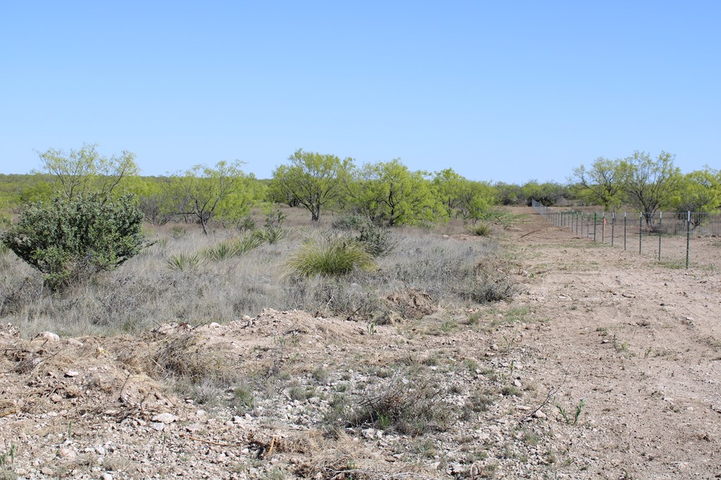 Hwy 67 #AB183, Ballinger, Texas image 18
