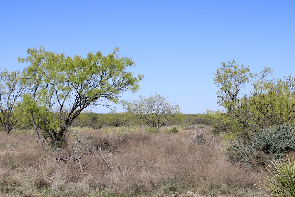 Hwy 67 #AB183, Ballinger, Texas image 19