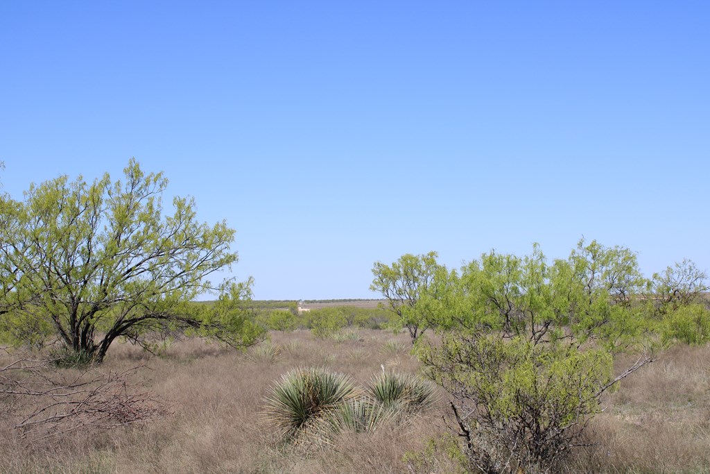Hwy 67 #AB183, Ballinger, Texas image 17