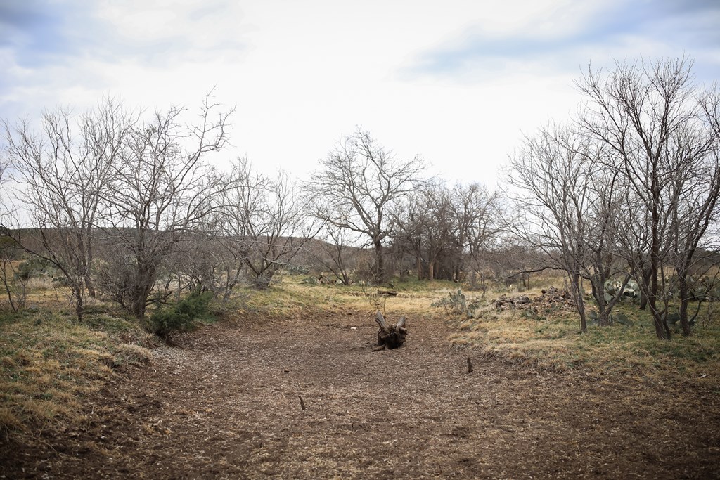 11980 W Grape Creek Rd #10, San Angelo, Texas image 28