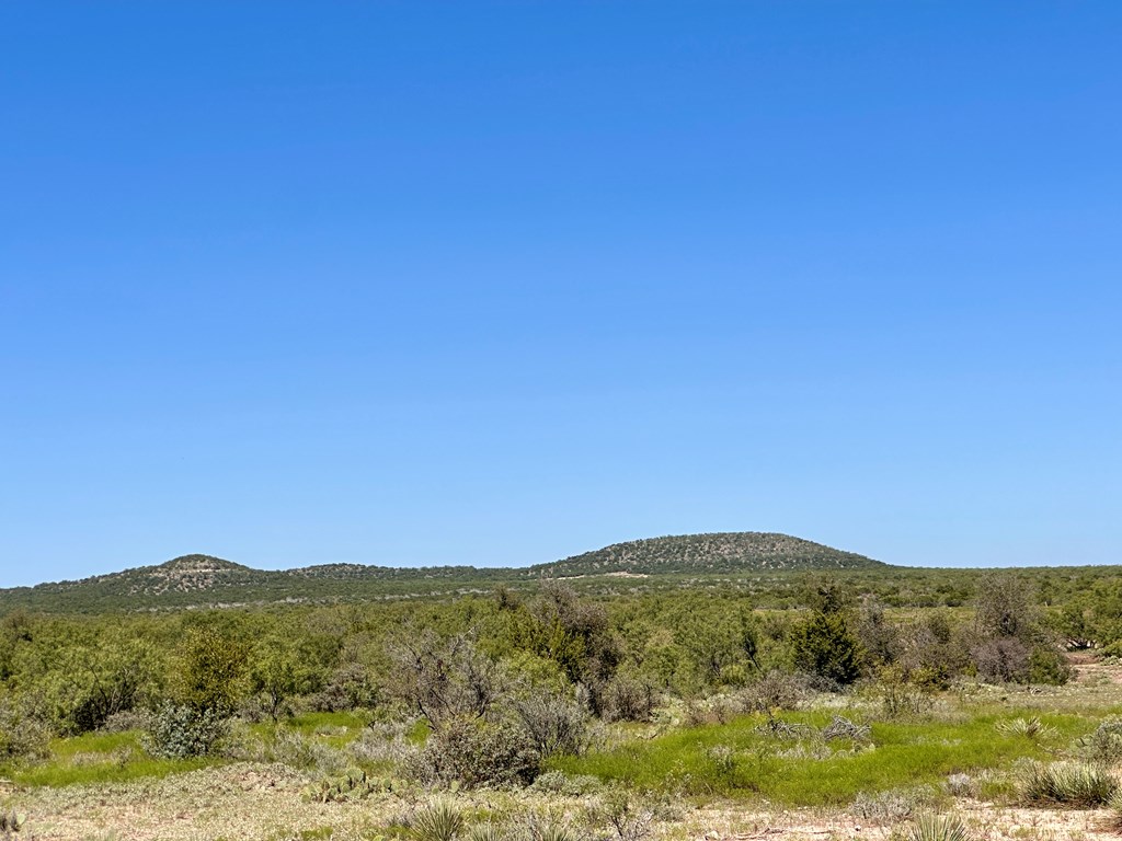 11980 W Grape Creek Rd #10, San Angelo, Texas image 4