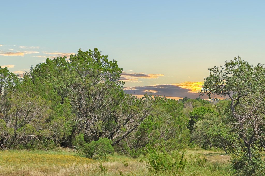 3572 Ranch Rd 2083, Ozona, Texas image 45