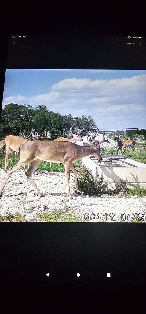 3572 Ranch Rd 2083, Ozona, Texas image 4