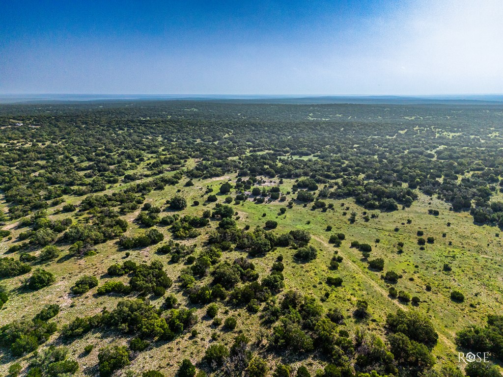 788 Rocky Rd, Eldorado, Texas image 40