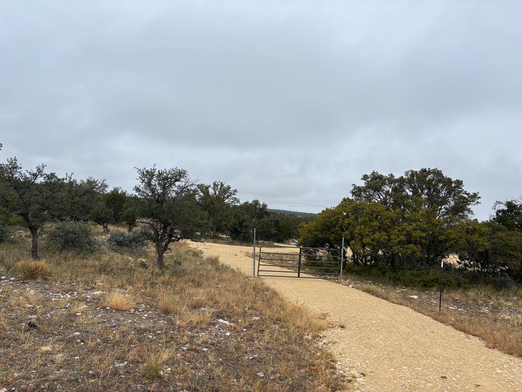 458 Axis Trail #25, Eldorado, Texas image 1