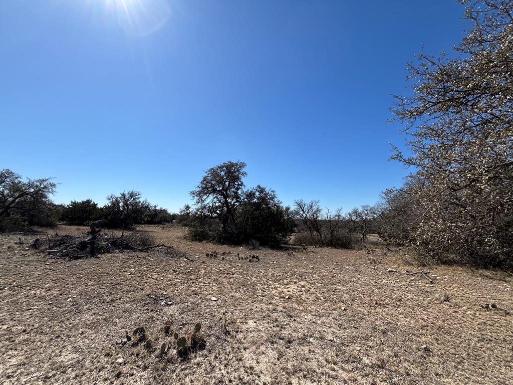 458 Axis Trail #25, Eldorado, Texas image 18