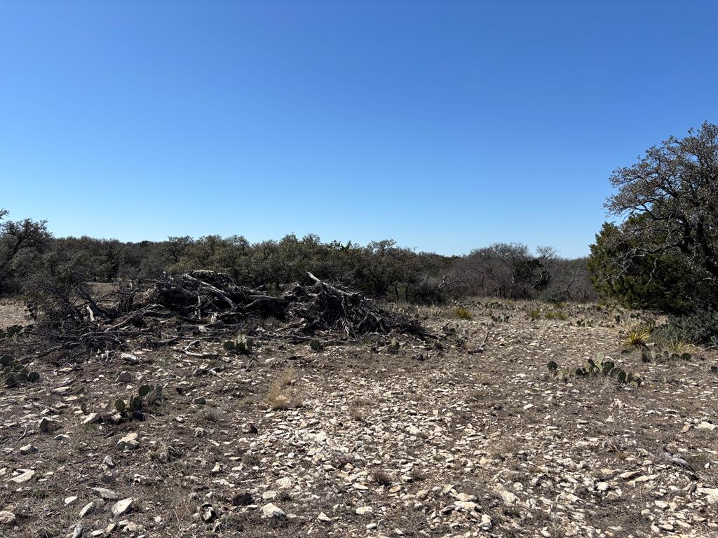 458 Axis Trail #25, Eldorado, Texas image 13