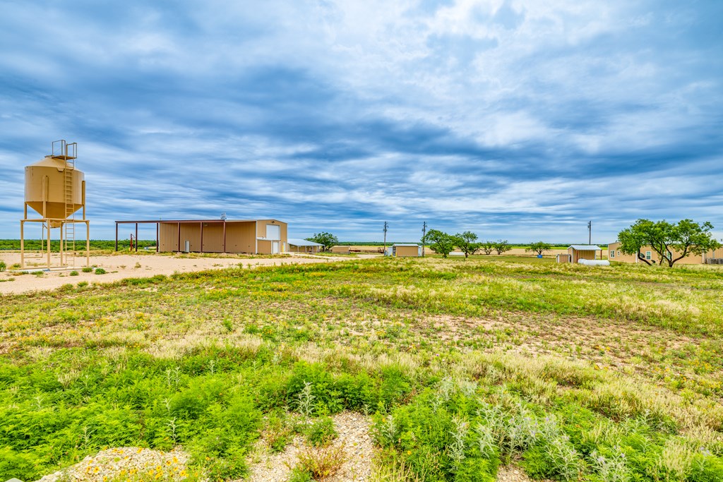 TBD County Rd 289, Ballinger, Texas image 39