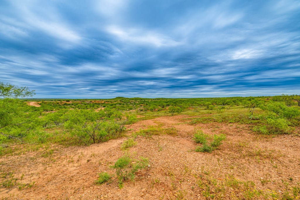 TBD County Rd 289, Ballinger, Texas image 48