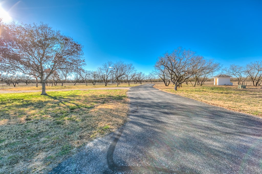 1522 Riverwood Dr, San Angelo, Texas image 3