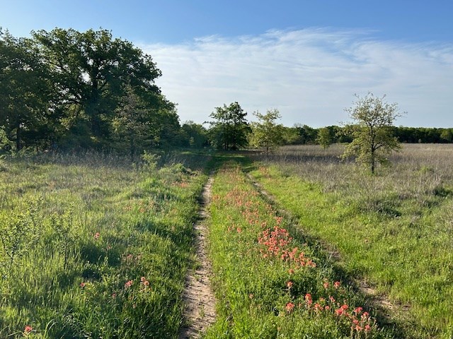 Other #AB 587, Sunset, Texas image 8