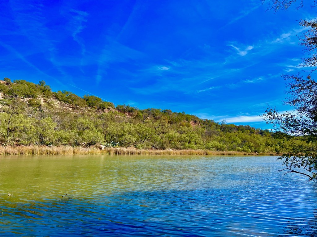 Land, Coleman, Texas image 6