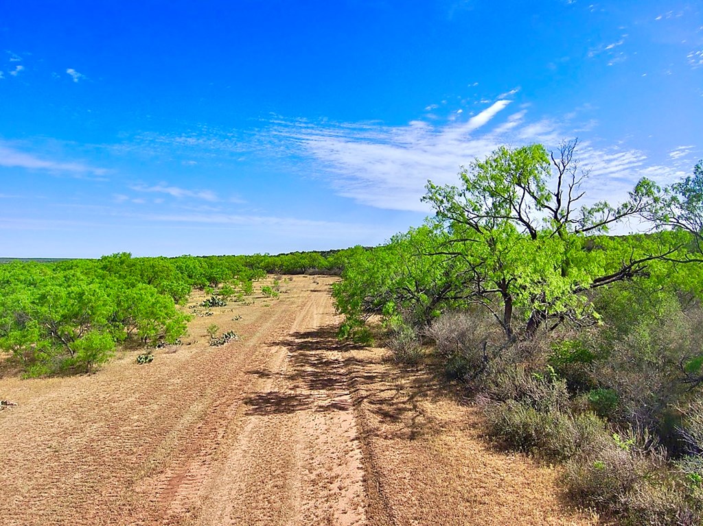 Land, Coleman, Texas image 14