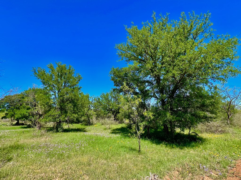 Land, Coleman, Texas image 8