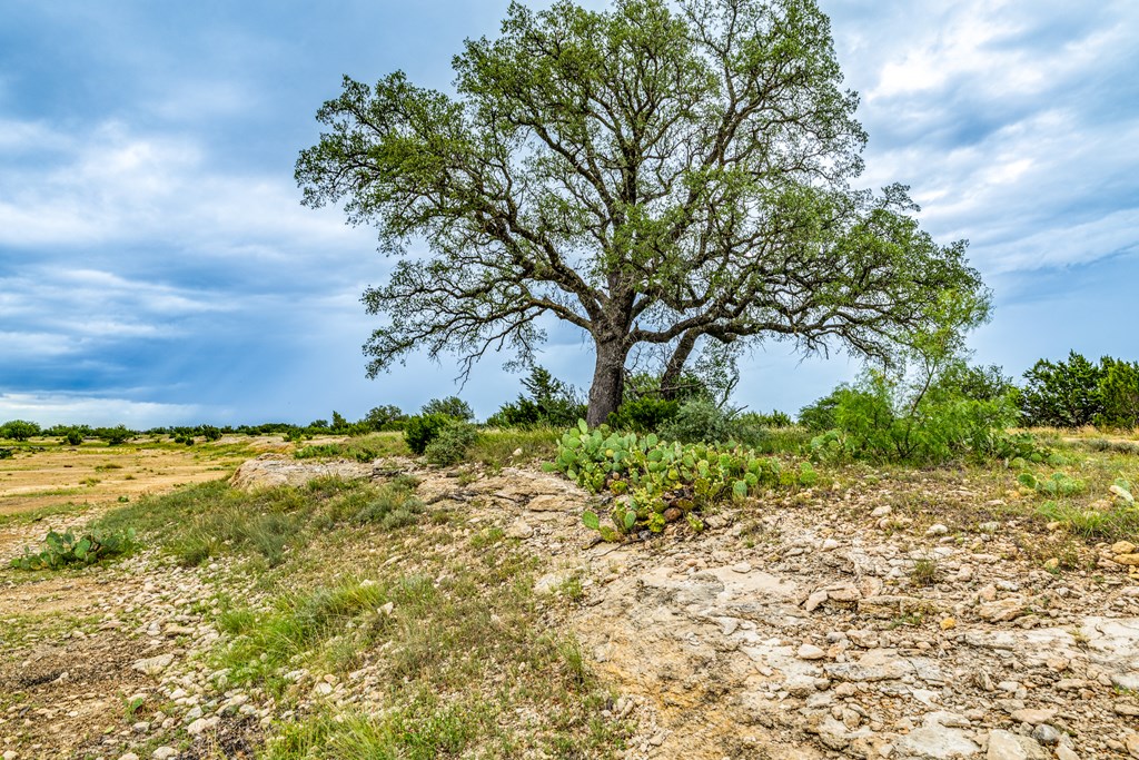 0000 Private Rd, Sonora, Texas image 8