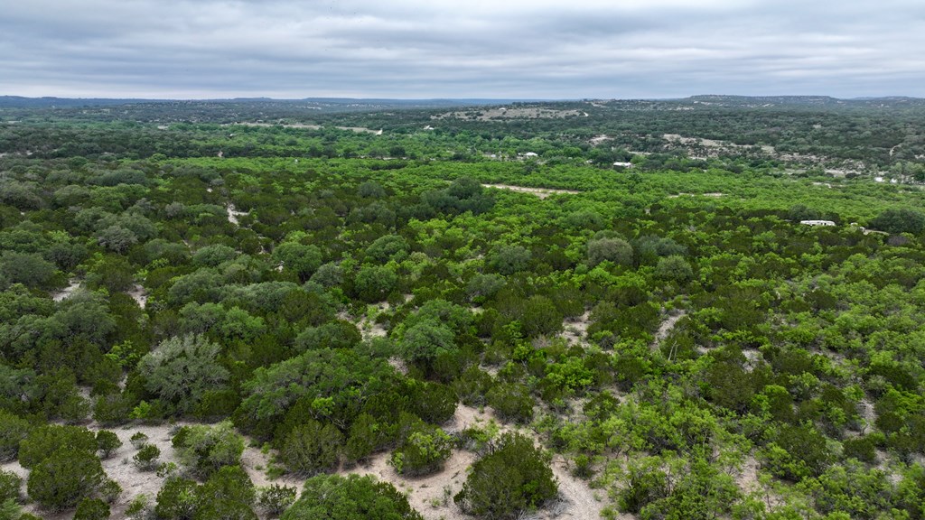 4603 County Rd 307, Roosevelt, Texas image 6