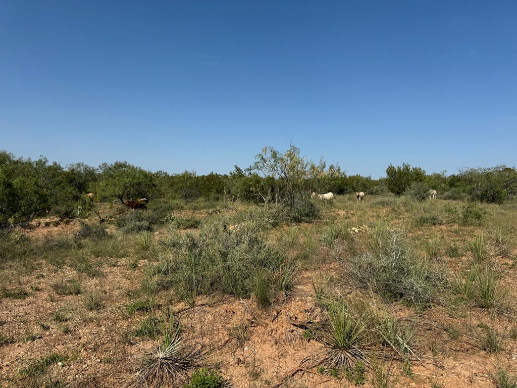 000 Silver Loop Rd, Robert Lee, Texas image 15