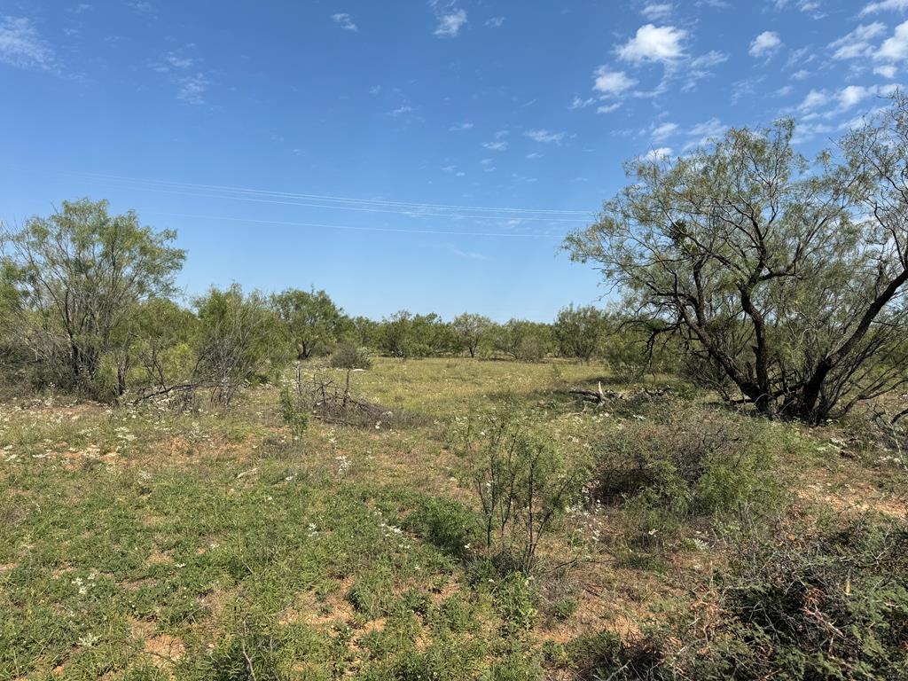 000 Silver Loop Rd, Robert Lee, Texas image 13