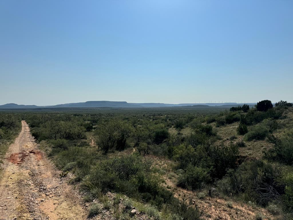 000 Silver Loop Rd, Robert Lee, Texas image 18