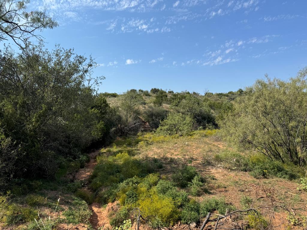 000 Silver Loop Rd, Robert Lee, Texas image 6