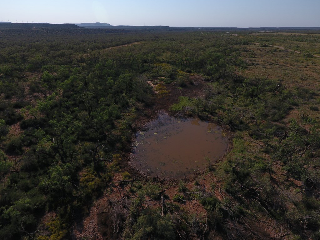 000 Silver Loop Rd, Robert Lee, Texas image 11