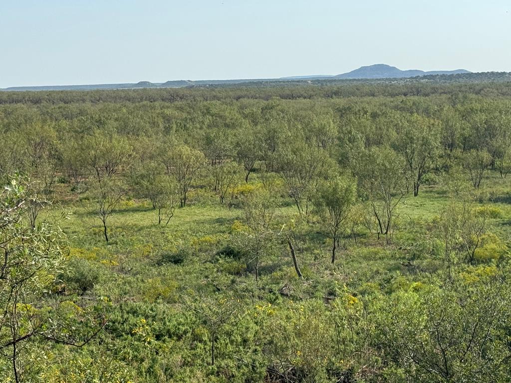 000 Silver Loop Rd, Robert Lee, Texas image 7