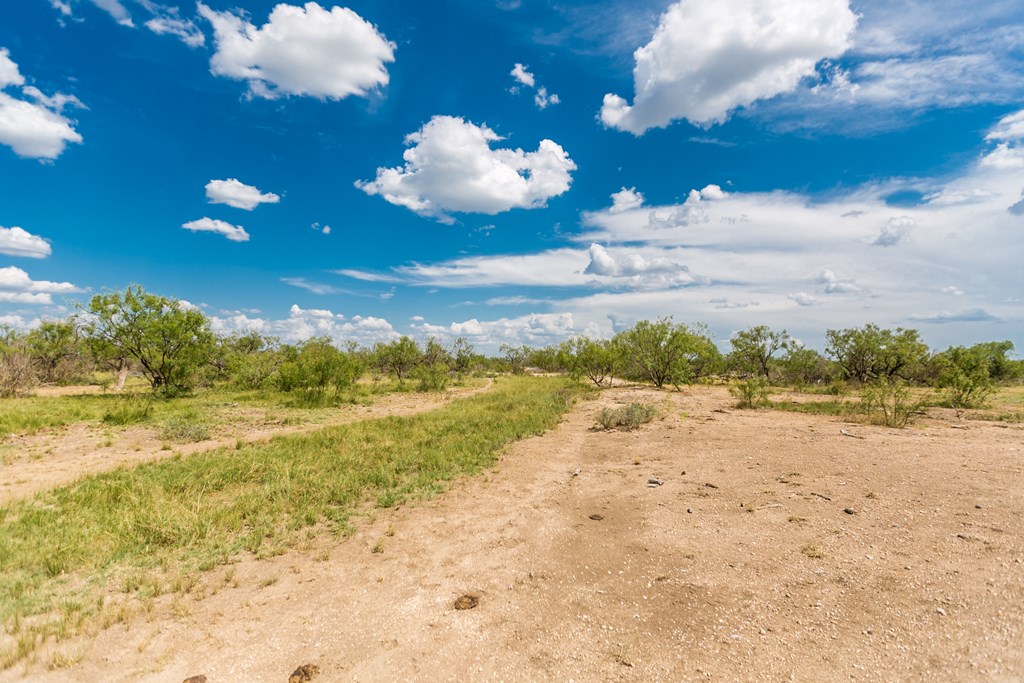 Other #AB855, Talpa, Texas image 14