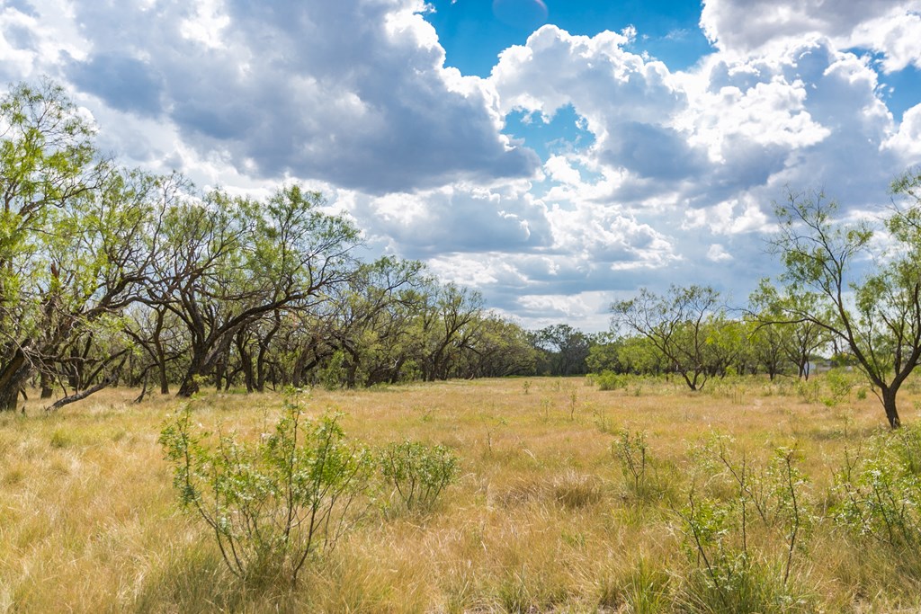 Other #AB855, Talpa, Texas image 42