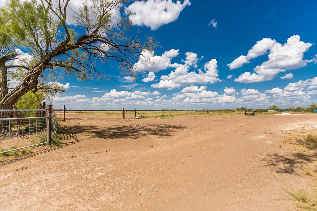 Other #AB855, Talpa, Texas image 27