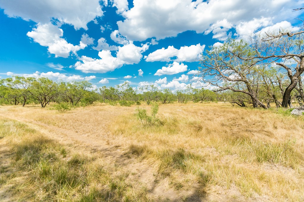 Other #AB855, Talpa, Texas image 46