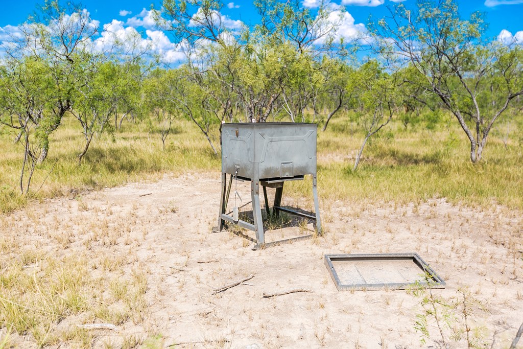 Other #AB855, Talpa, Texas image 48