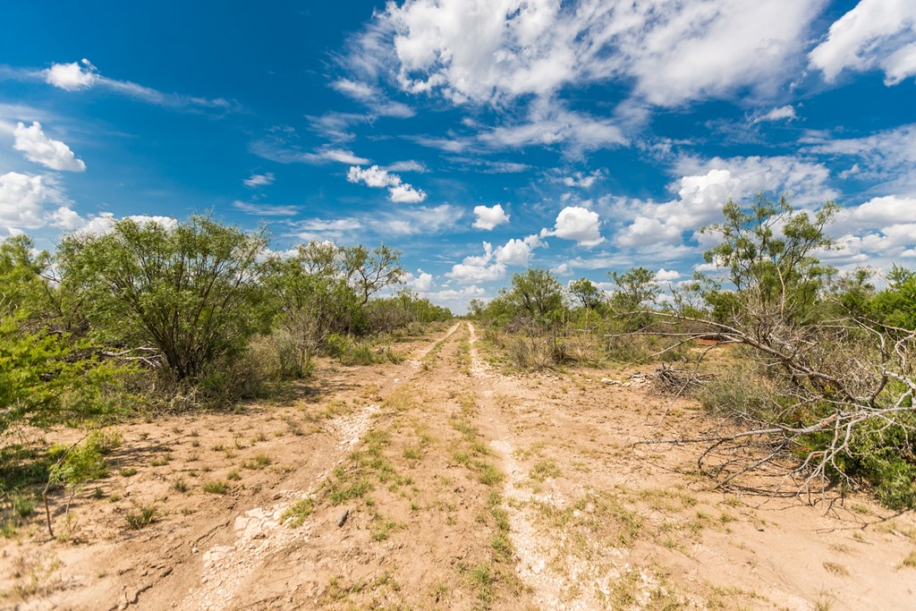 Other #AB855, Talpa, Texas image 6