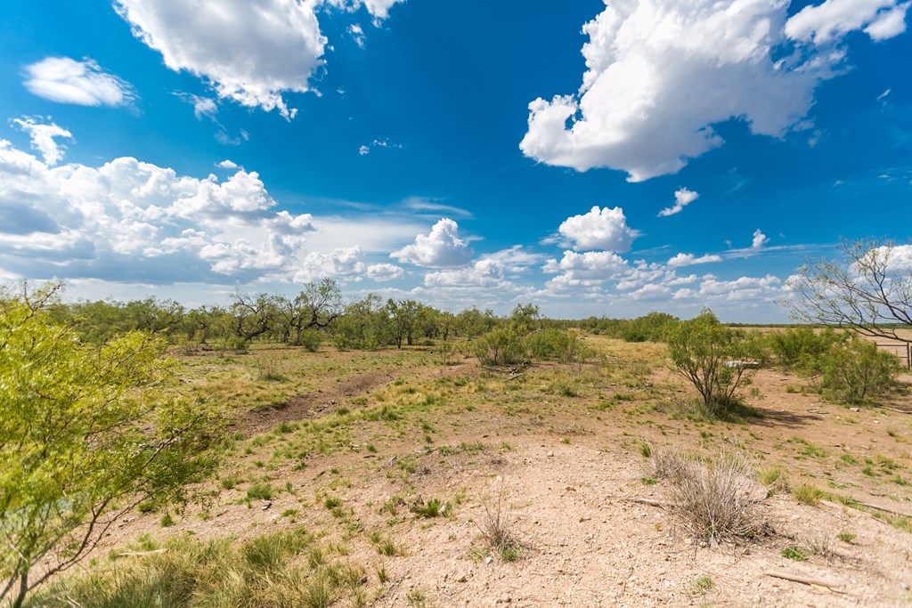 Other #AB855, Talpa, Texas image 23