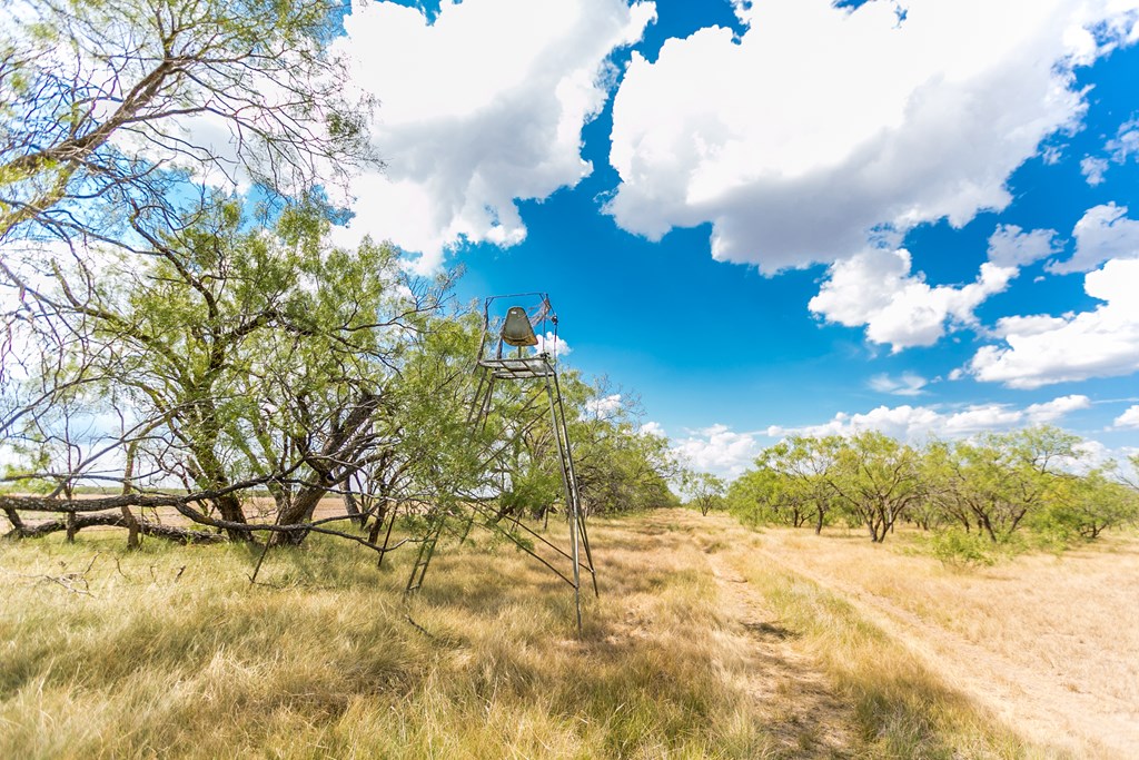 Other #AB855, Talpa, Texas image 44