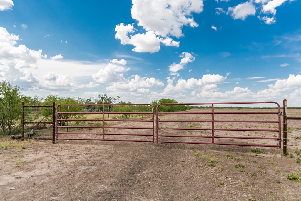 Other #AB855, Talpa, Texas image 30