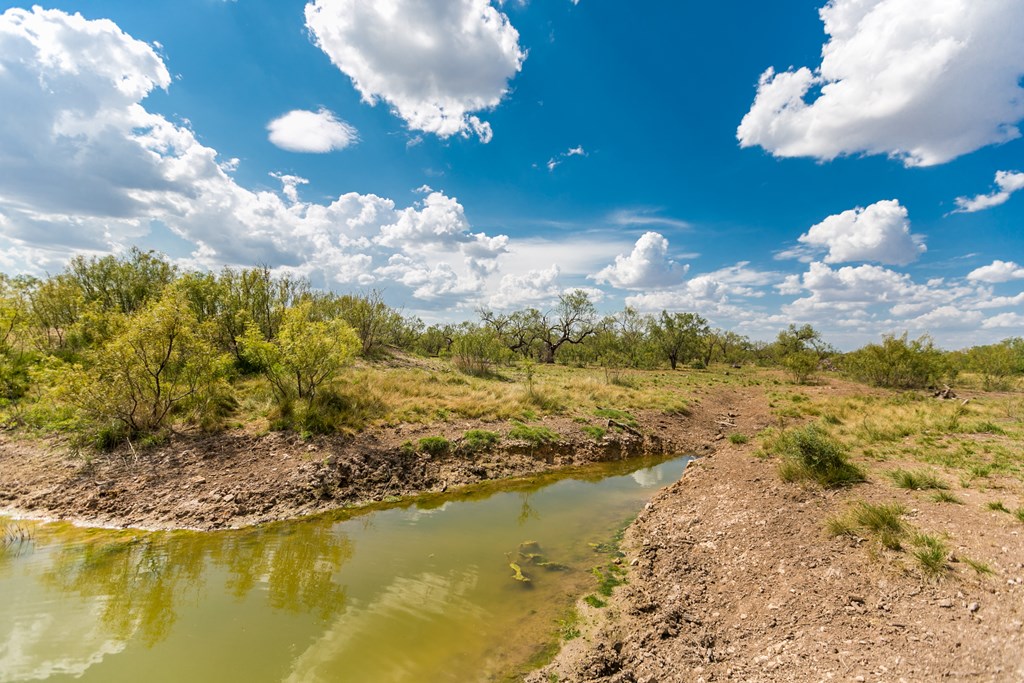 Other #AB855, Talpa, Texas image 25