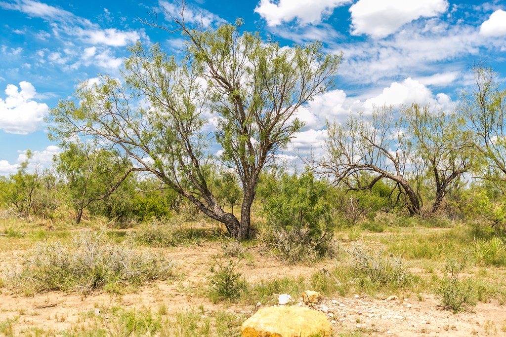 Other #AB855, Talpa, Texas image 4