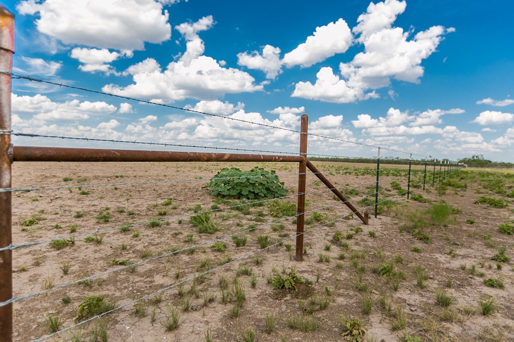 Other #AB855, Talpa, Texas image 31